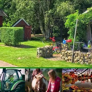 Stutteri Skandihest Feriegård